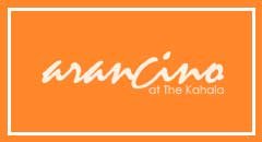 Arancino-at-the-Kahala