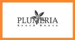 Plumeria2